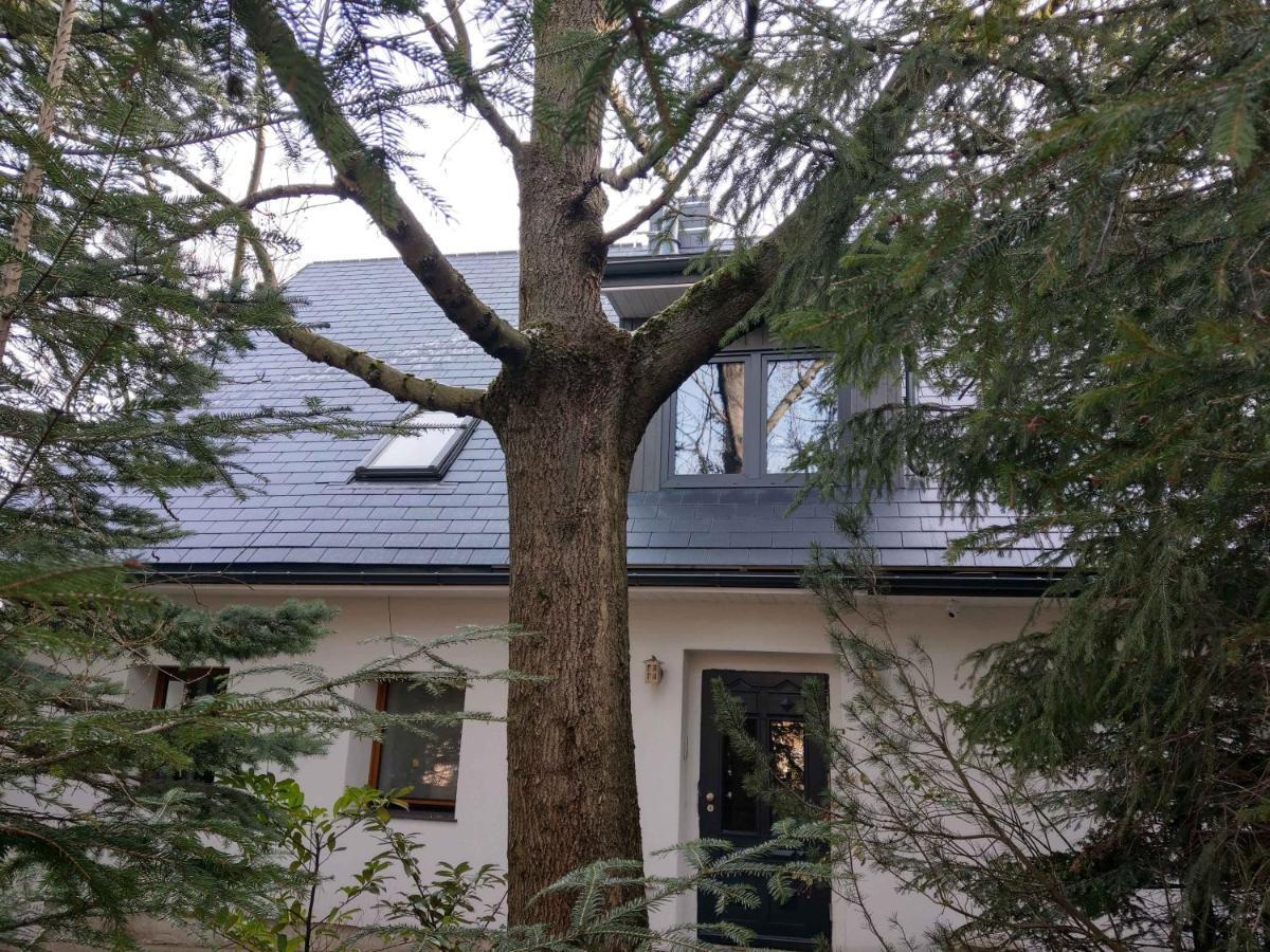 Apartamenty Martushka カルパッチ エクステリア 写真